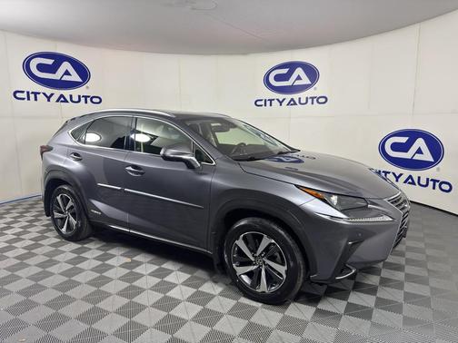 Nebula Gray Pearl 2020 Lexus NX 300h Base