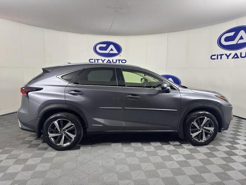 Nebula Gray Pearl 2020 Lexus NX 300h Base