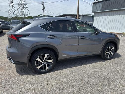 Nebula Gray Pearl 2020 Lexus NX 300h Base