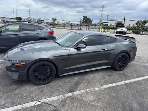 Magnetic Metallic 2019 Ford Mustang GT Premium