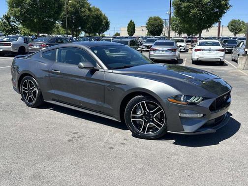 Magnetic Metallic 2019 Ford Mustang GT