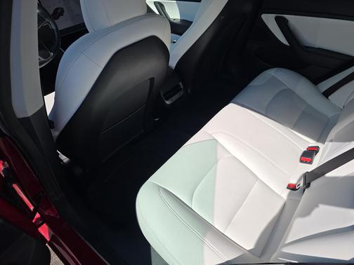 Red Multi-Coat 2019 Tesla Model 3 Long Range