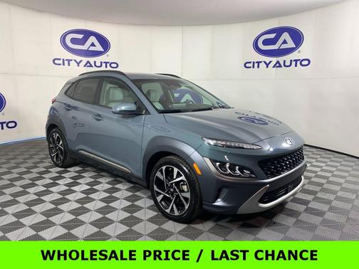 Cactus Fern 2022 Hyundai KONA Limited