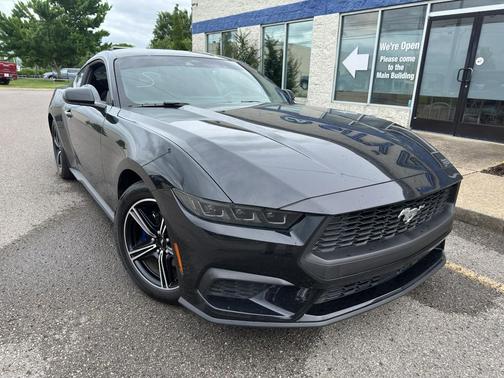 Shadow Black 2025 Ford Mustang EcoBoost