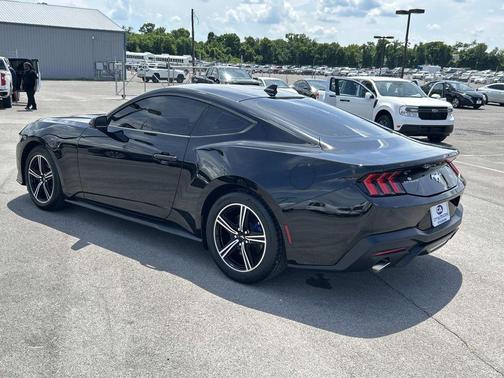 Shadow Black 2025 Ford Mustang EcoBoost
