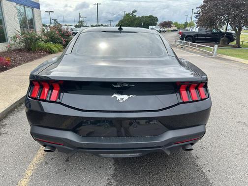 Shadow Black 2025 Ford Mustang EcoBoost