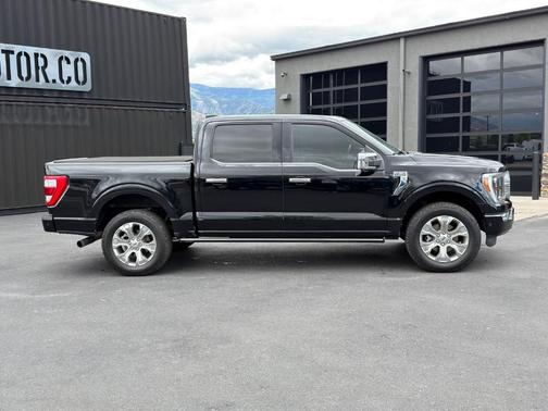 Black 2021 Ford F-150 Platinum