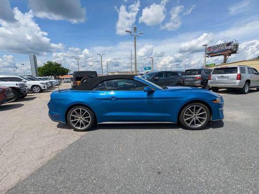 Blue Metallic 2019 Ford Mustang EcoBoost Premium