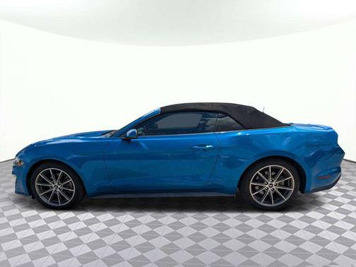 Blue Metallic 2019 Ford Mustang EcoBoost Premium