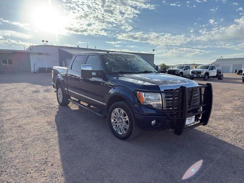 2009 Ford F-150 Platinum