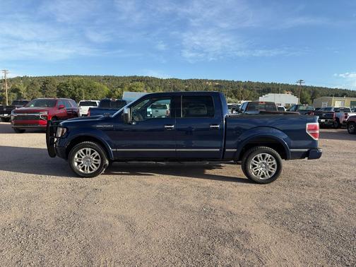 2009 Ford F-150 Platinum