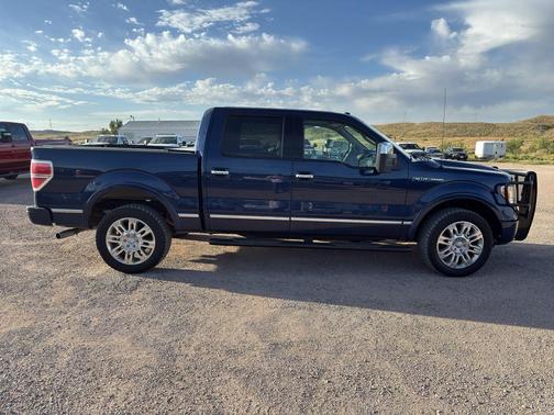 2009 Ford F-150 Platinum