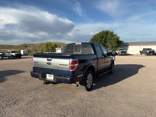 2009 Ford F-150 Platinum