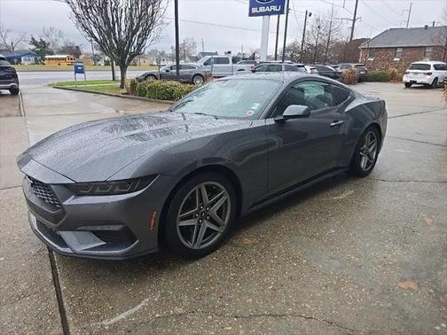 Gray Metallic 2025 Ford Mustang EcoBoost Premium