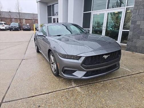 Gray Metallic 2025 Ford Mustang EcoBoost Premium