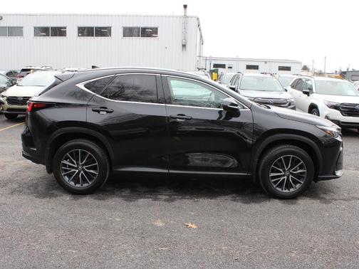 2024 Lexus NX 350h Base