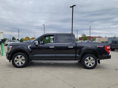 Agate Black Metallic 2023 Ford F-150 Platinum