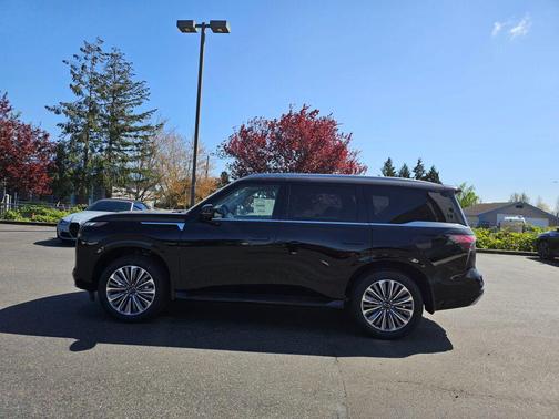 2025 INFINITI QX80 Luxe