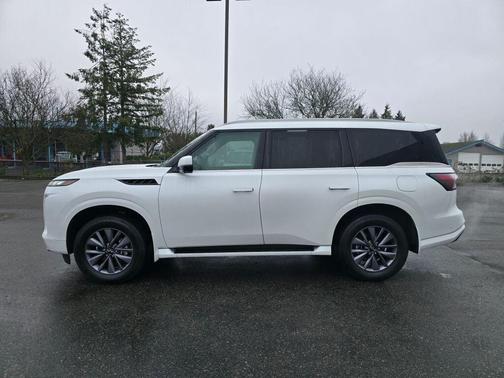2025 INFINITI QX80 PURE