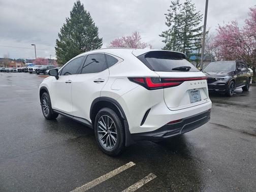 2025 Lexus NX 350 Premium