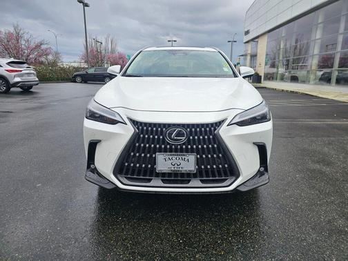 2025 Lexus NX 350 Premium
