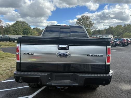 2013 Ford F-150 Platinum