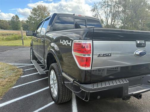 2013 Ford F-150 Platinum