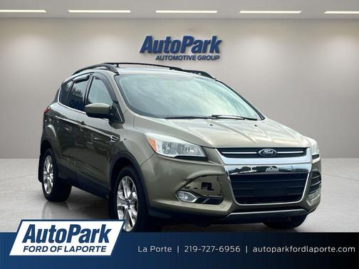 Ginger Ale Metallic 2013 Ford Escape SE