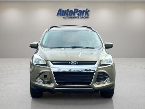 Ginger Ale Metallic 2013 Ford Escape SE
