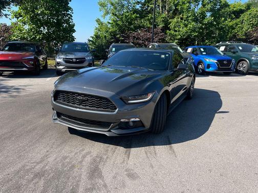 Magnetic 2017 Ford Mustang EcoBoost