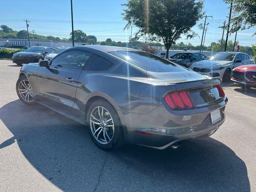Magnetic 2017 Ford Mustang EcoBoost