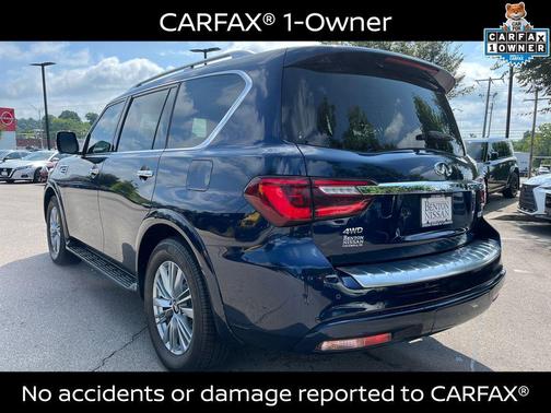 Hermosa Blue 2024 INFINITI QX80 Luxe