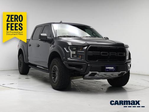 Gray 2019 Ford F-150 Raptor