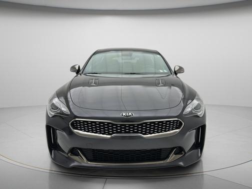Panthera Metal 2020 Kia Stinger GT-Line