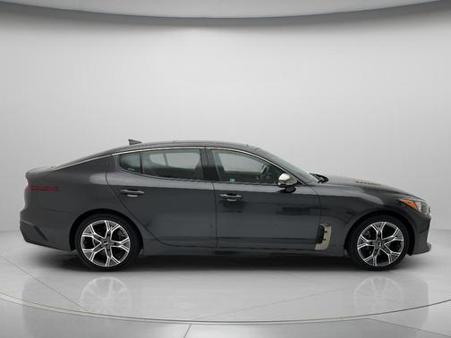 Panthera Metal 2020 Kia Stinger GT-Line