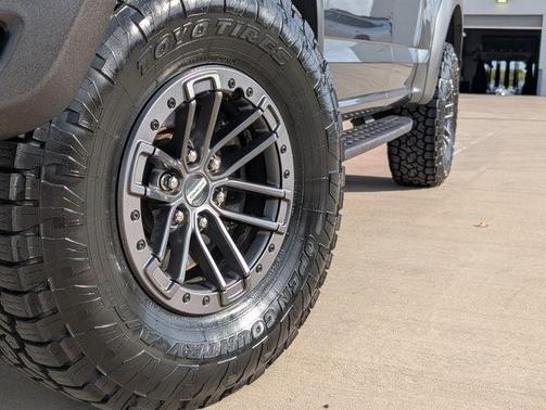 Magnetic 2019 Ford F-150 Raptor