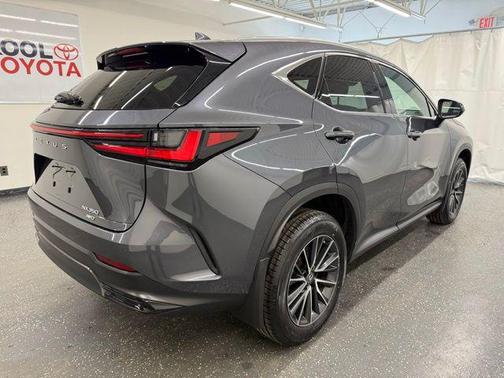 Cloudburst Gray 2023 Lexus NX 350 Premium