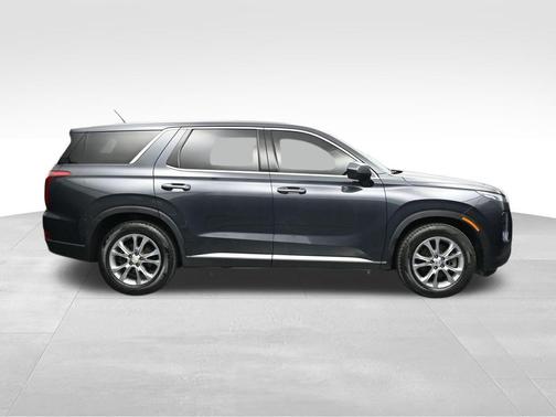 Steel Graphite 2020 Hyundai PALISADE SE