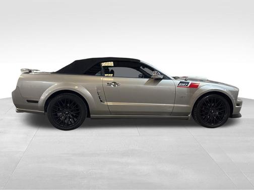 2008 Ford Mustang GT Deluxe