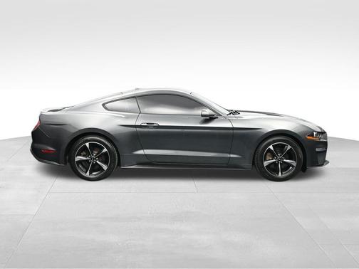 Magnetic 2019 Ford Mustang EcoBoost
