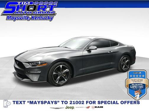 Magnetic 2019 Ford Mustang EcoBoost