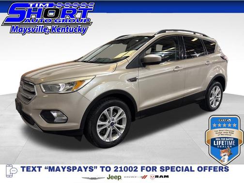 White Gold 2018 Ford Escape SE