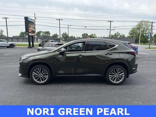 2024 Lexus NX 350 Luxury