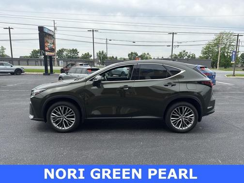 2024 Lexus NX 350 Luxury