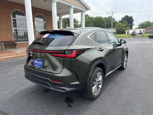 2024 Lexus NX 350 Luxury