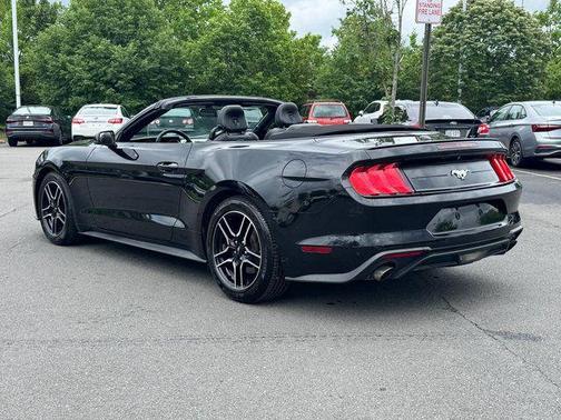 Shadow Black 2019 Ford Mustang EcoBoost Premium