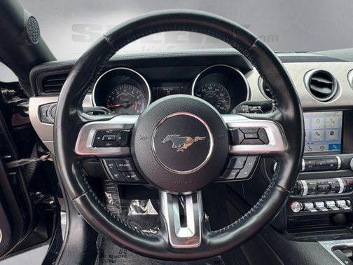 Shadow Black 2019 Ford Mustang EcoBoost Premium