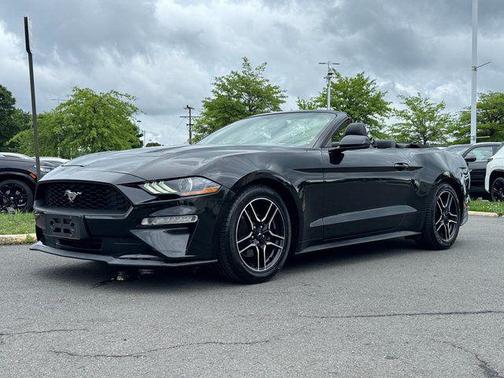 Shadow Black 2019 Ford Mustang EcoBoost Premium