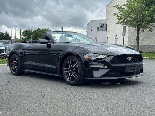 Shadow Black 2019 Ford Mustang EcoBoost Premium