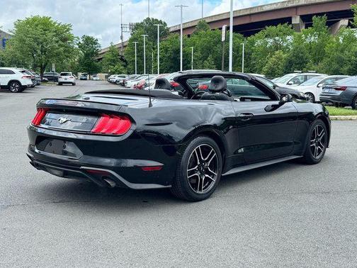 Shadow Black 2019 Ford Mustang EcoBoost Premium